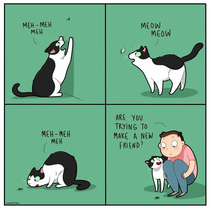 Artist Illustrates What It's Like To Live With A Cat (30 New Pics)
