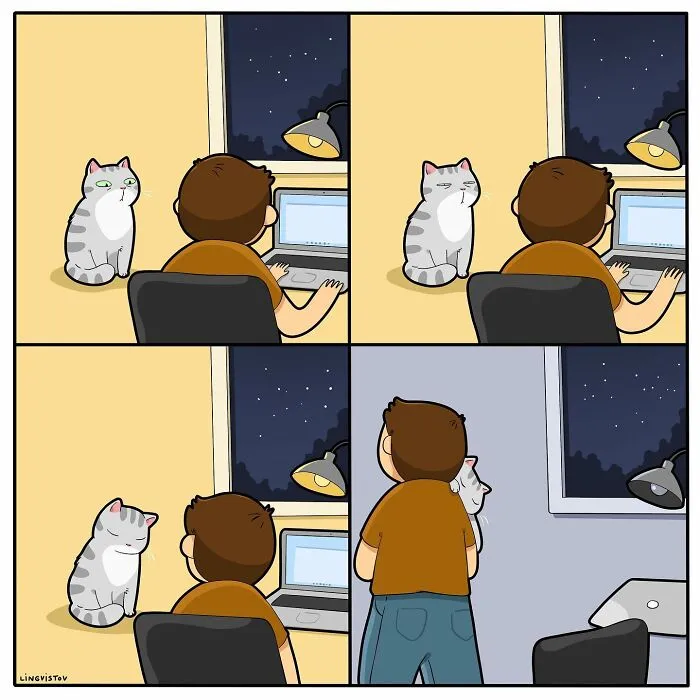 Una artista ilustra cómo es vivir con un gato (30 fotos nuevas)