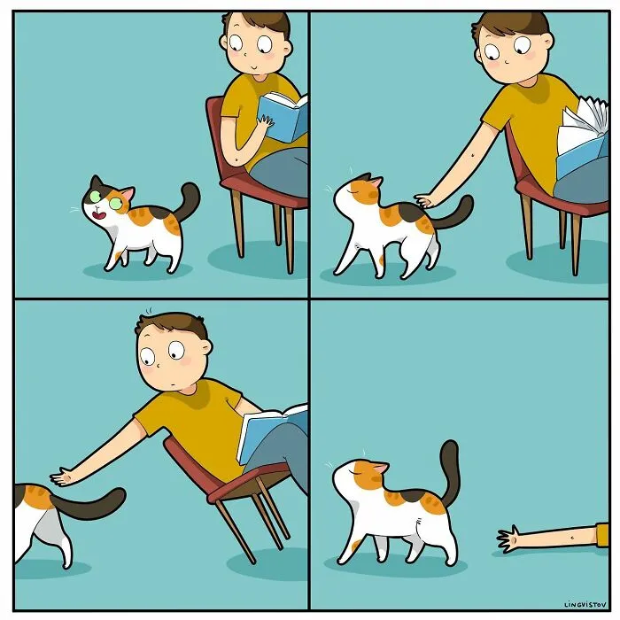 Una artista ilustra cómo es vivir con un gato (30 fotos nuevas)