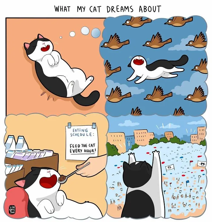 Artist Illustrates What It's Like To Live With A Cat (30 New Pics)