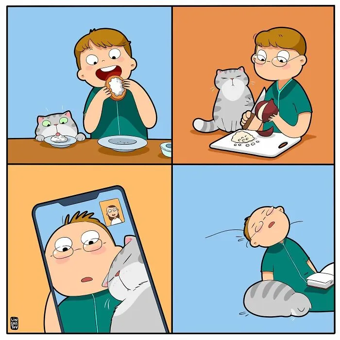 Una artista ilustra cómo es vivir con un gato (30 fotos nuevas)