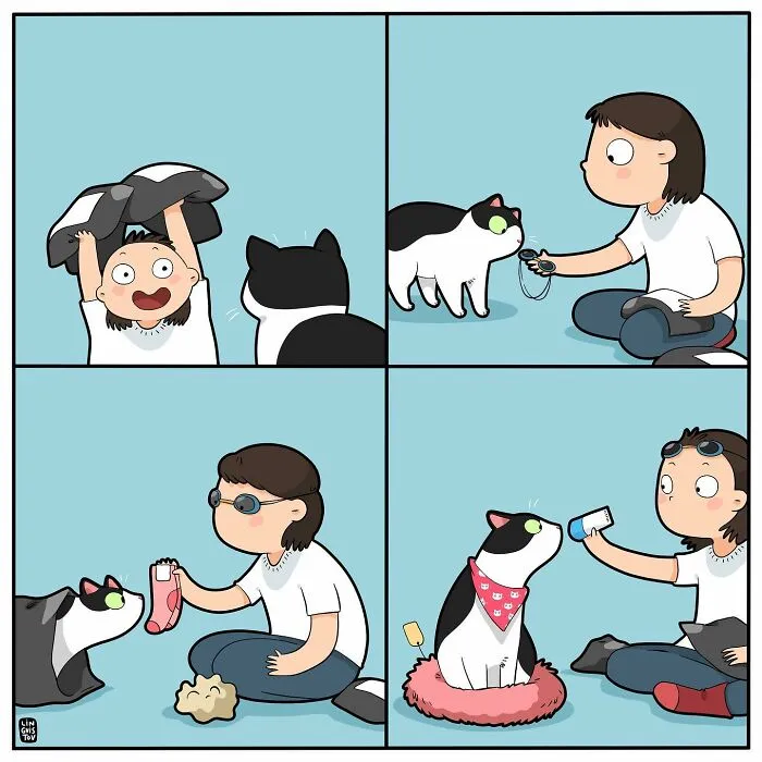 Una artista ilustra cómo es vivir con un gato (30 fotos nuevas)