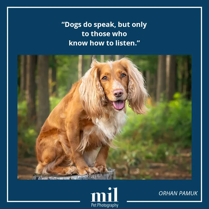 Orhan Pamuk - "Dogs Do Speak, But Only To Those Who Know How To Listen"