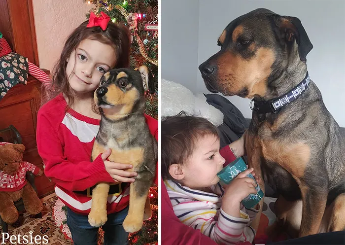 35 Personalized Plushies That Let People Hug Their Lost Pets Once Again, Made By This Company