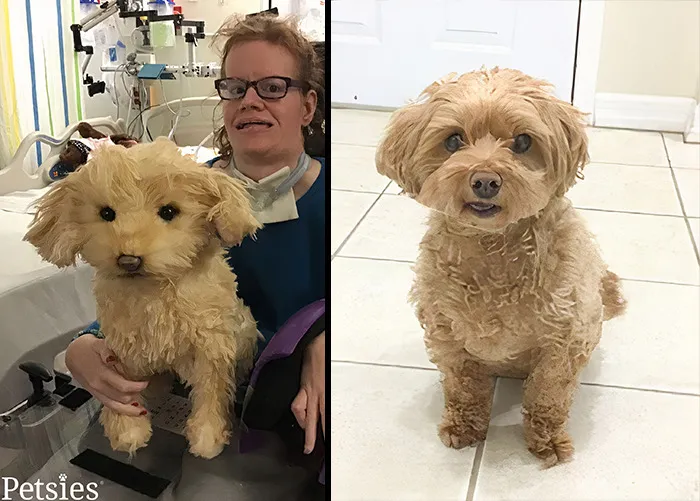 35 Personalized Plushies That Let People Hug Their Lost Pets Once Again, Made By This Company