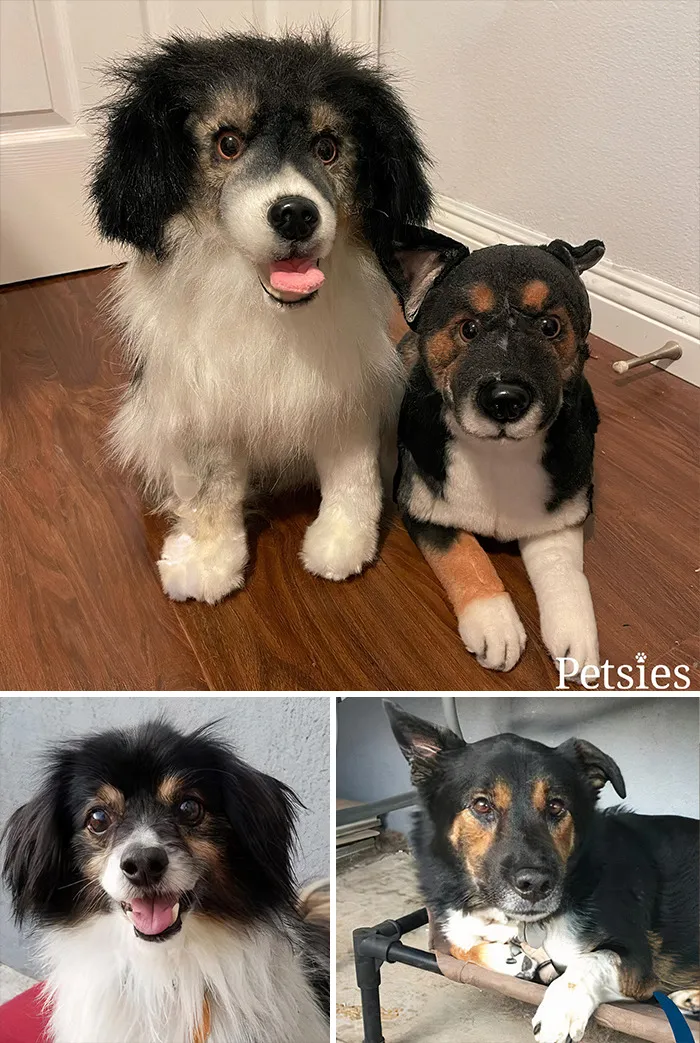 35 Personalized Plushies That Let People Hug Their Lost Pets Once Again, Made By This Company