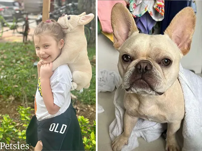 35 Personalized Plushies That Let People Hug Their Lost Pets Once Again, Made By This Company