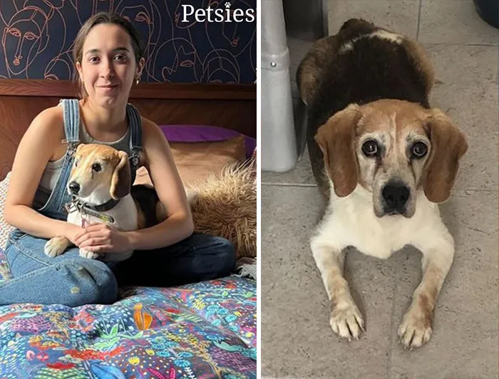 35 Personalized Plushies That Let People Hug Their Lost Pets Once Again, Made By This Company