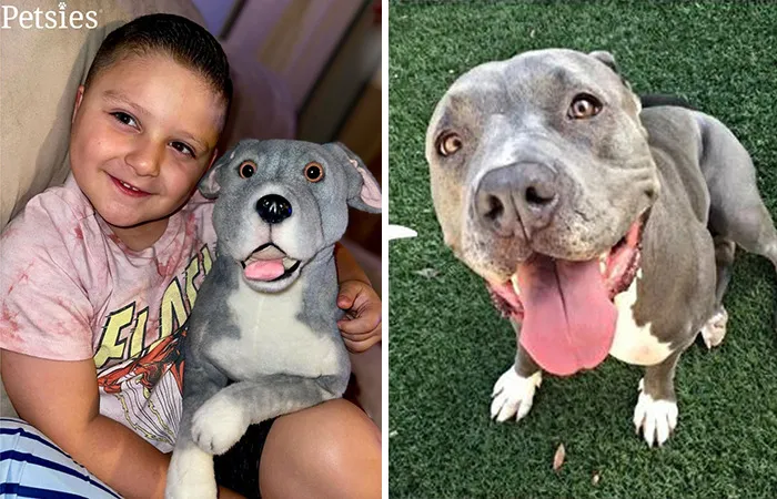 35 Personalized Plushies That Let People Hug Their Lost Pets Once Again, Made By This Company