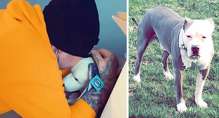 35 Personalized Plushies That Let People Hug Their Lost Pets Once Again, Made By This Company