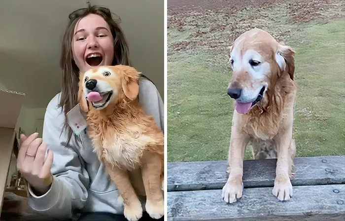 35 Personalized Plushies That Let People Hug Their Lost Pets Once Again, Made By This Company