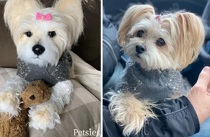 35 Personalized Plushies That Let People Hug Their Lost Pets Once Again, Made By This Company