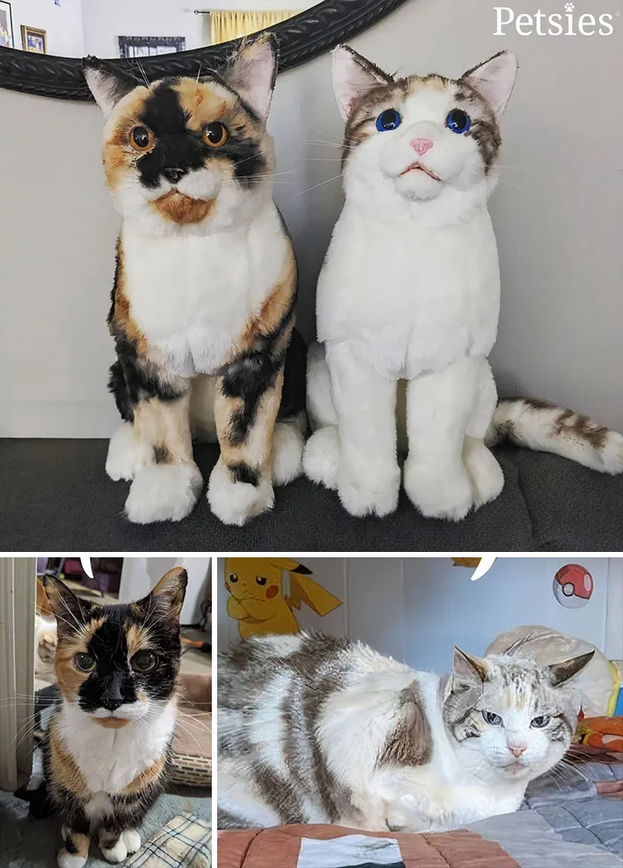 35 Personalized Plushies That Let People Hug Their Lost Pets Once Again, Made By This Company