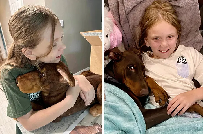 35 Personalized Plushies That Let People Hug Their Lost Pets Once Again, Made By This Company