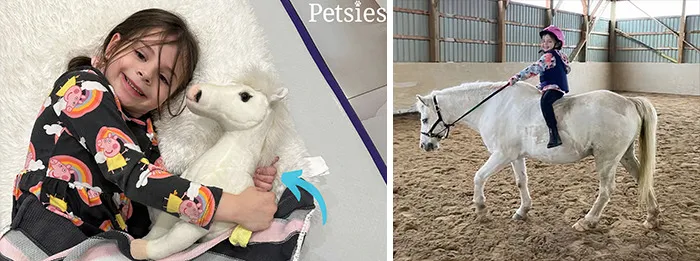 35 Personalized Plushies That Let People Hug Their Lost Pets Once Again, Made By This Company