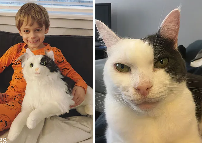 35 Personalized Plushies That Let People Hug Their Lost Pets Once Again, Made By This Company
