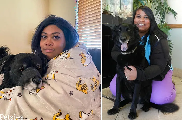 35 Personalized Plushies That Let People Hug Their Lost Pets Once Again, Made By This Company