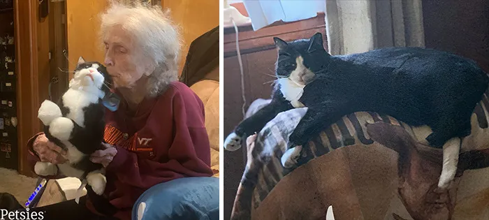 35 Personalized Plushies That Let People Hug Their Lost Pets Once Again, Made By This Company