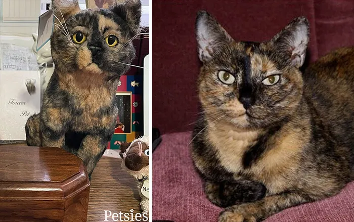 35 Personalized Plushies That Let People Hug Their Lost Pets Once Again, Made By This Company