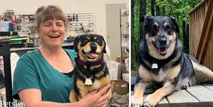 35 Personalized Plushies That Let People Hug Their Lost Pets Once Again, Made By This Company