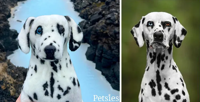 35 Personalized Plushies That Let People Hug Their Lost Pets Once Again, Made By This Company