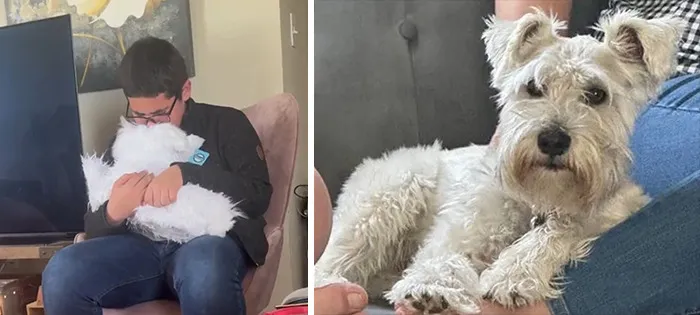 35 Personalized Plushies That Let People Hug Their Lost Pets Once Again, Made By This Company