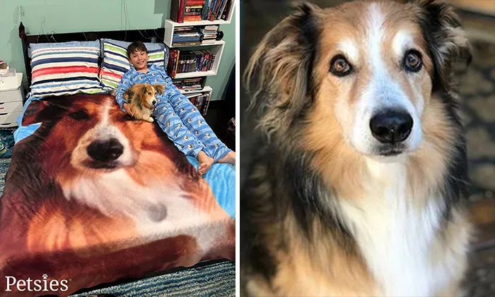35 Personalized Plushies That Let People Hug Their Lost Pets Once Again, Made By This Company