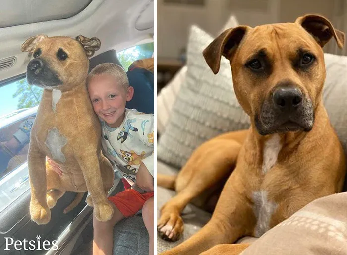 35 Personalized Plushies That Let People Hug Their Lost Pets Once Again, Made By This Company