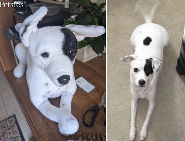 35 Personalized Plushies That Let People Hug Their Lost Pets Once Again, Made By This Company