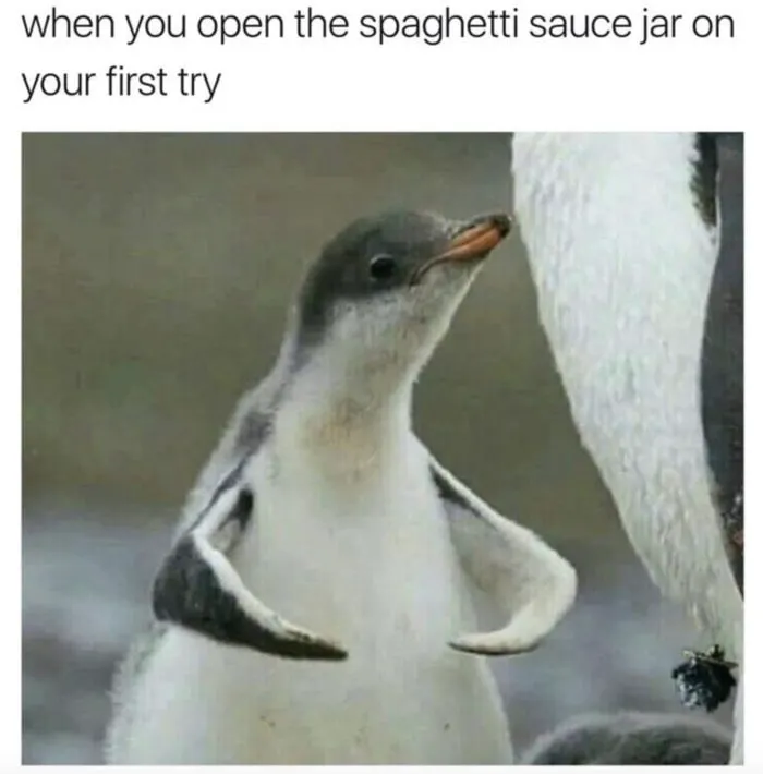 Litterally Me