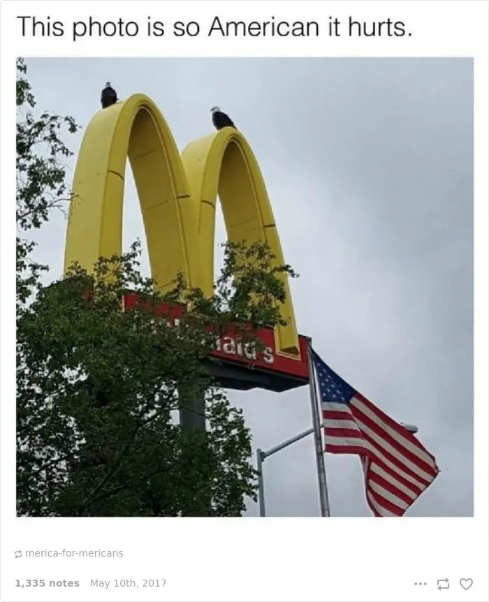 (Stolen)