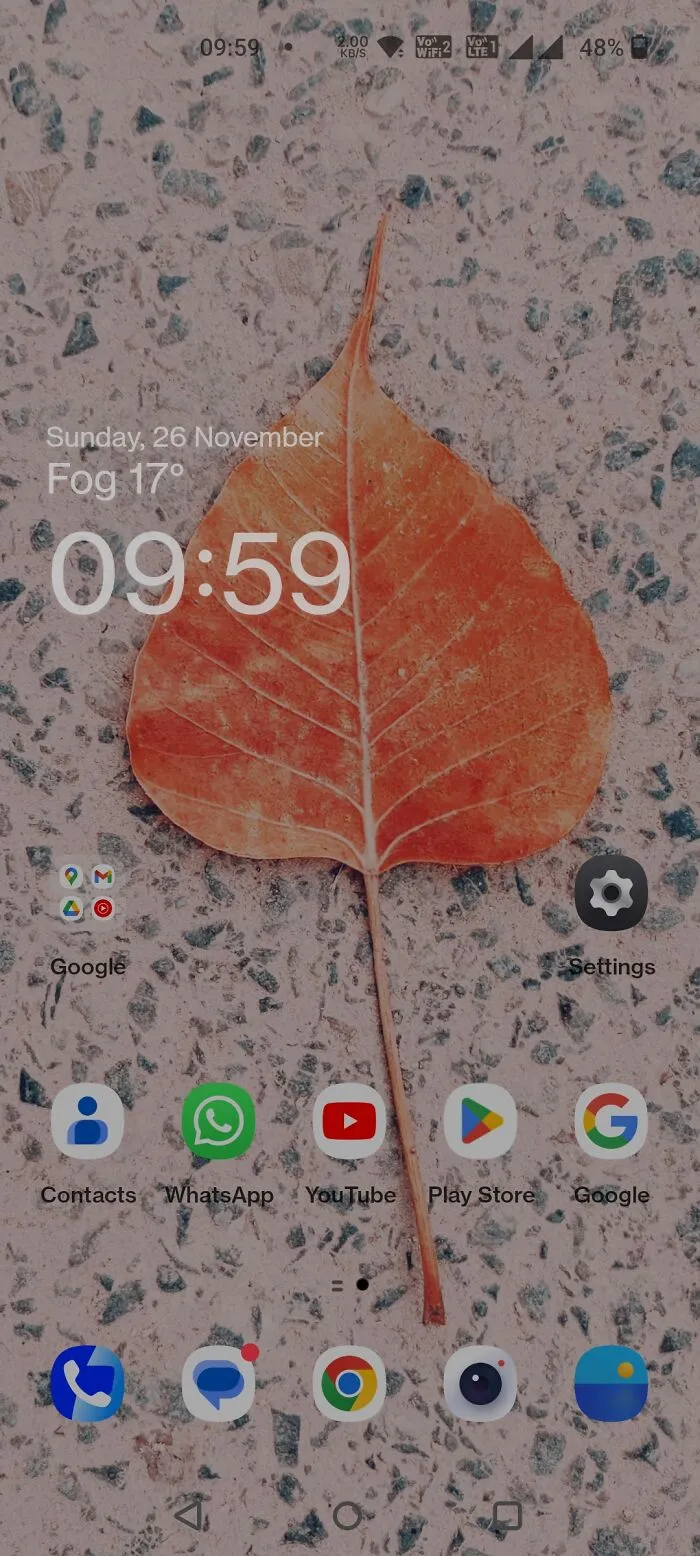 Banyan Tree Leaf