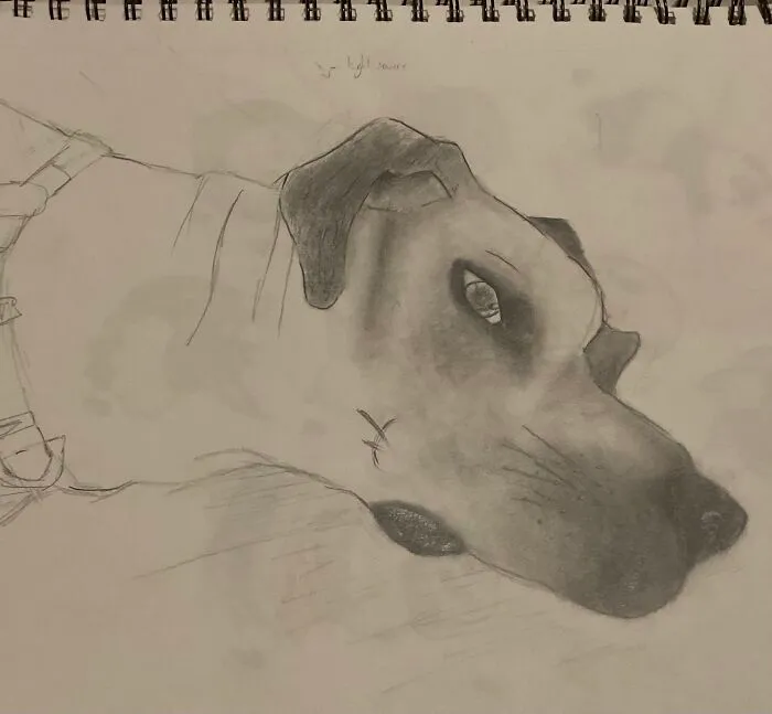 My Dog