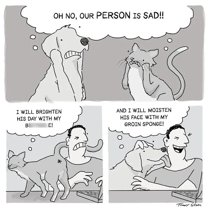 24 Newest Clever And Hilarious Short Comics By New Yorker Cartoonist Tommy Siegel (New Pics)