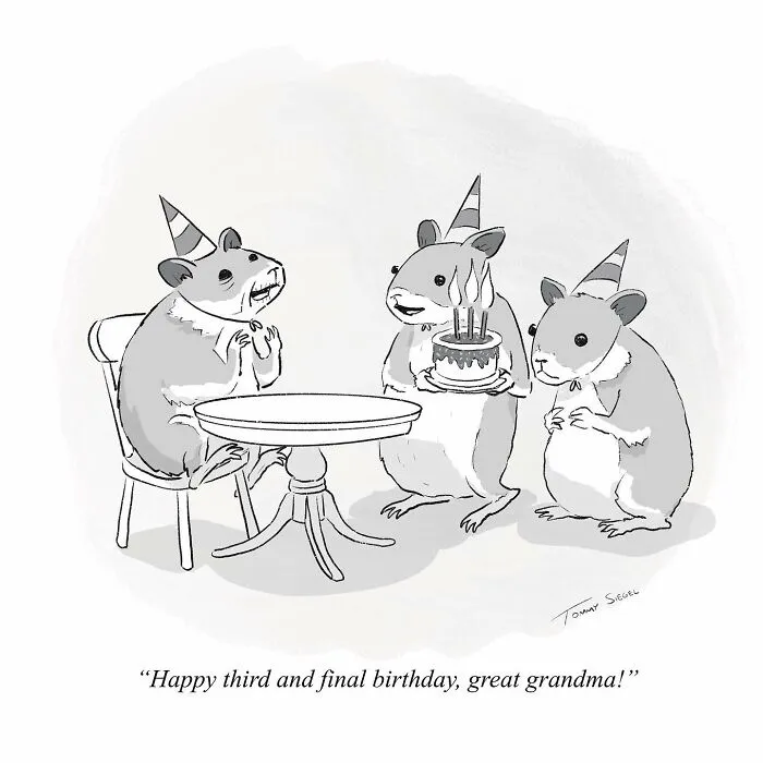24 Newest Clever And Hilarious Short Comics By New Yorker Cartoonist Tommy Siegel (New Pics)