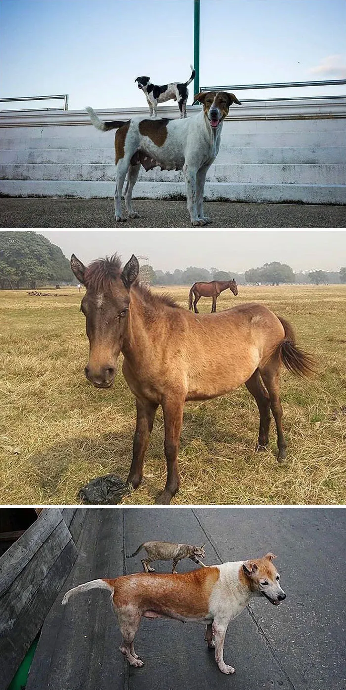This Instagram Account Shows The Similarities Between Different Photographers And Their Photos (30 Pics)