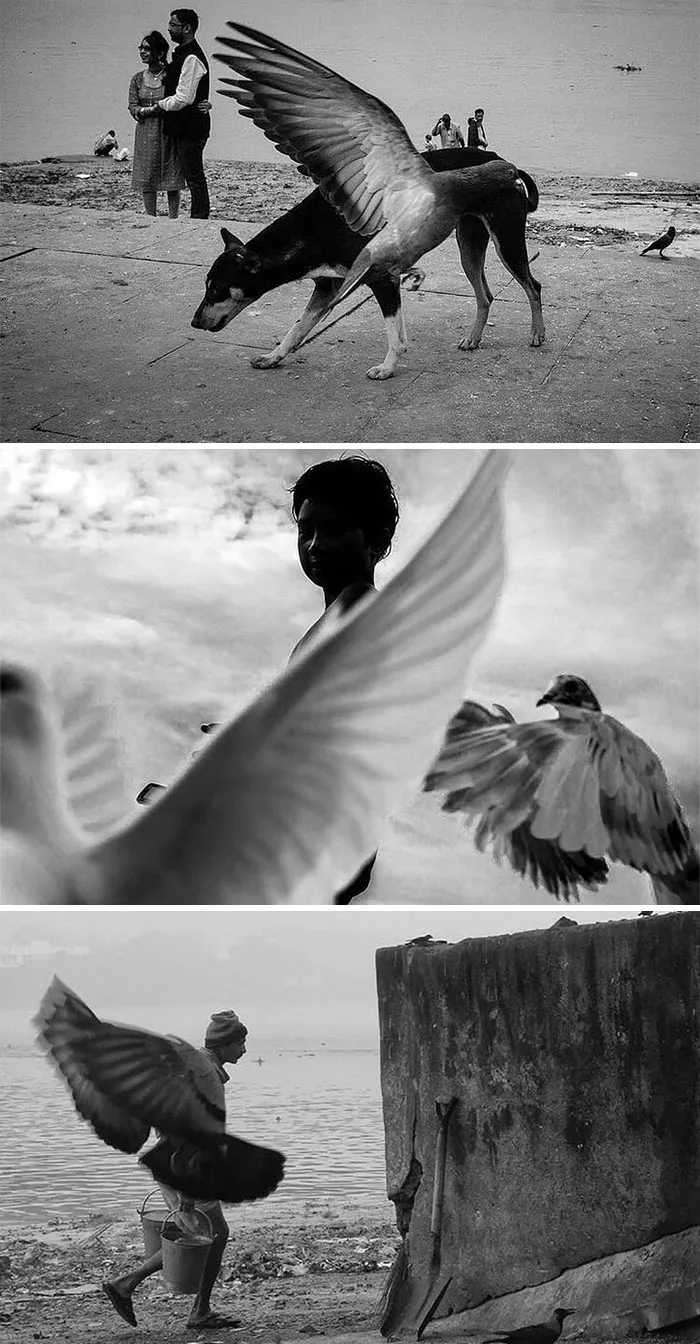 This Instagram Account Shows The Similarities Between Different Photographers And Their Photos (30 Pics)