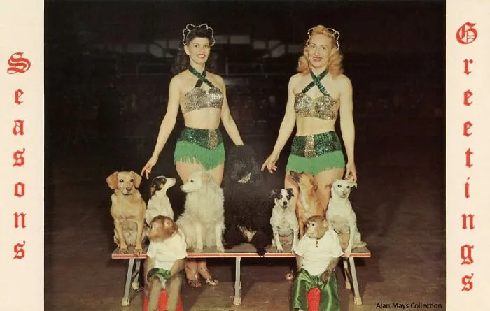 The Busy B's - A Novelty Dog And Monkey Show, 1965