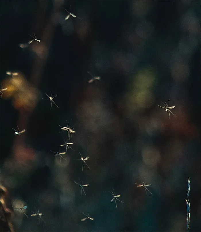 50 Things That Were Quietly Erased From Our Reality, According To Folks Online
