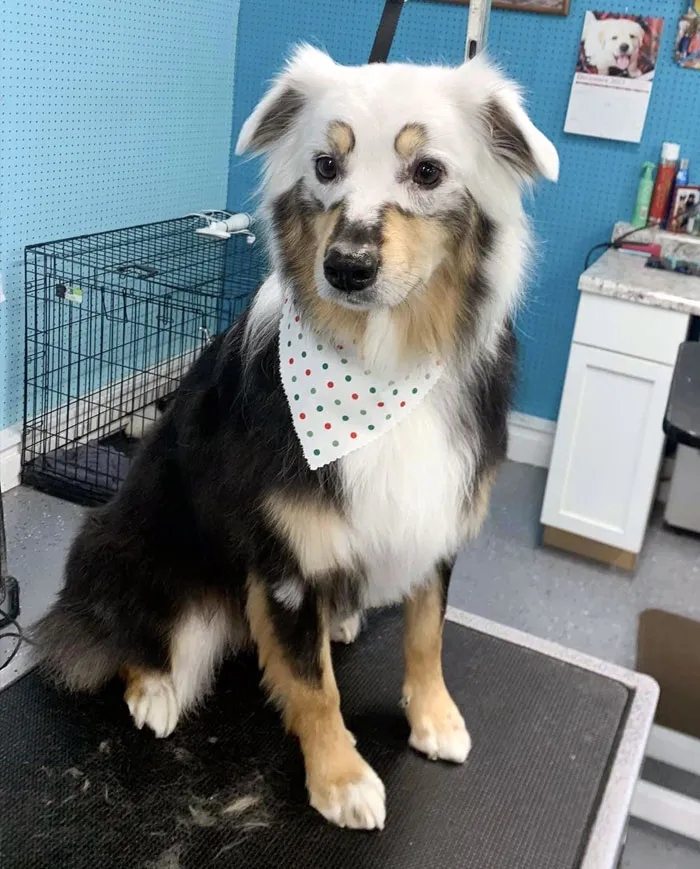 This Is Heidi. She Has Vitiligo