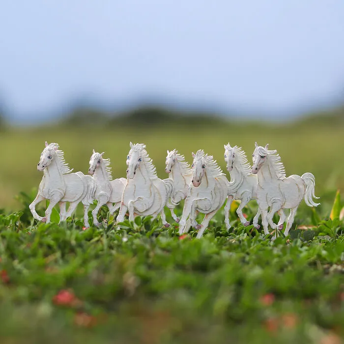 Albino Horses