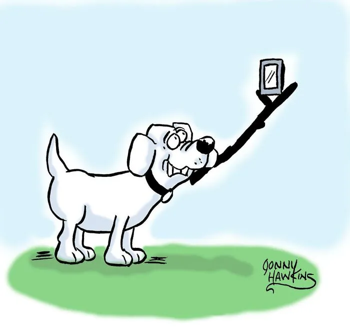 I Created Humorous Single-Panel Dog Comics To Brighten Your Day (30 Pics)