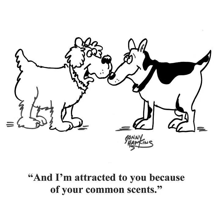 I Created Humorous Single-Panel Dog Comics To Brighten Your Day (30 Pics)