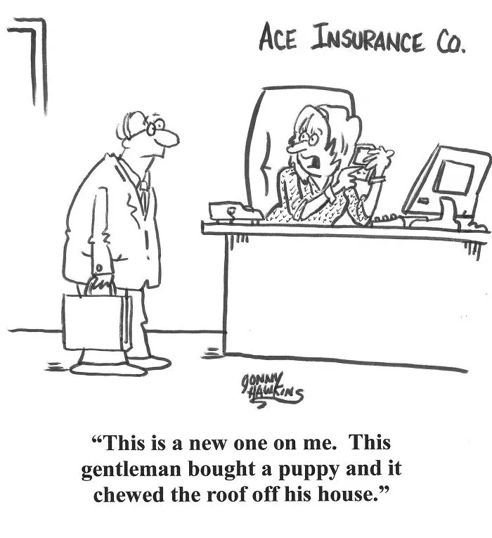 I Created Humorous Single-Panel Dog Comics To Brighten Your Day (30 Pics)