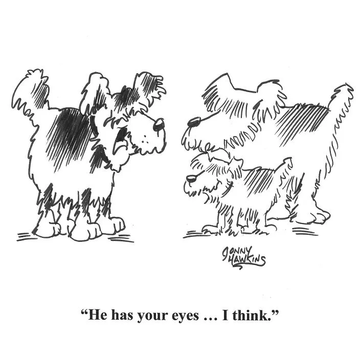 I Created Humorous Single-Panel Dog Comics To Brighten Your Day (30 Pics)