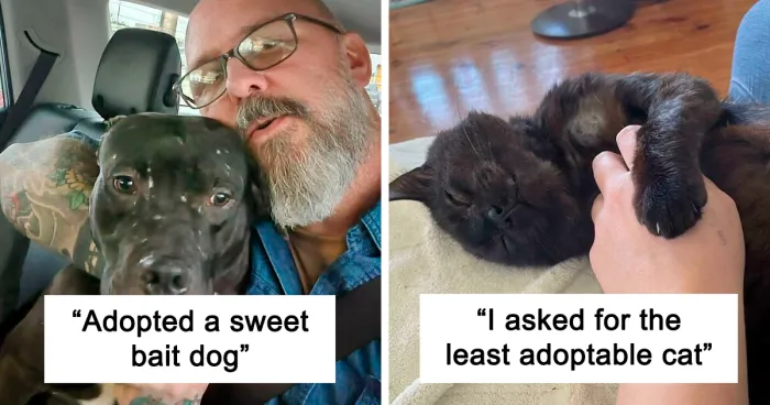 50 Adorable Pets Being Happy To Finally Be Home After Getting Adopted (November Edition)