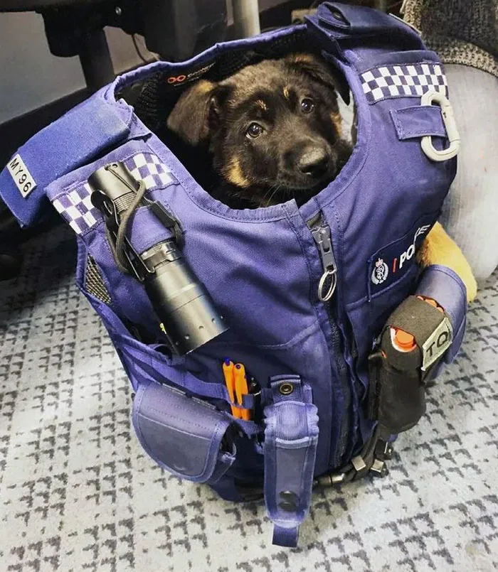 The Face You Give Your Boss When Asking To Leave Early On A Friday
