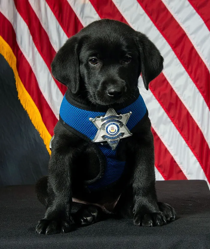 Everyone Needs An Official Photo