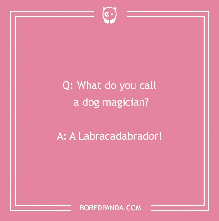 118 Wildly Amazing Animal Jokes