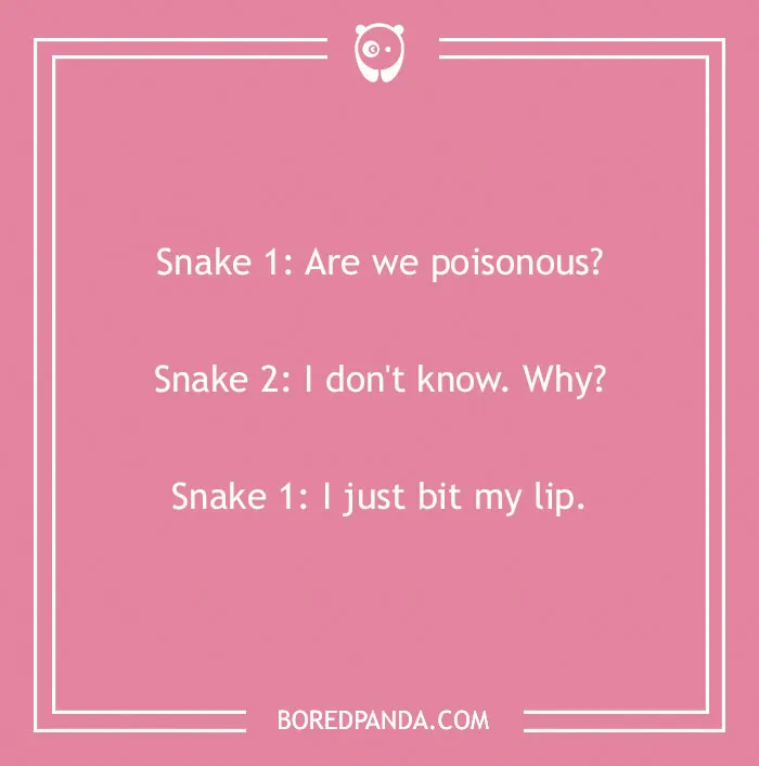 118 Wildly Amazing Animal Jokes